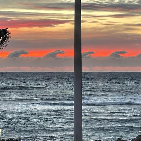 Le Rayon Vert Six-Fours-les-Plages Dış mekan fotoğraf