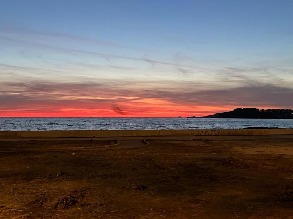 Le Rayon Vert Six-Fours-les-Plages Dış mekan fotoğraf