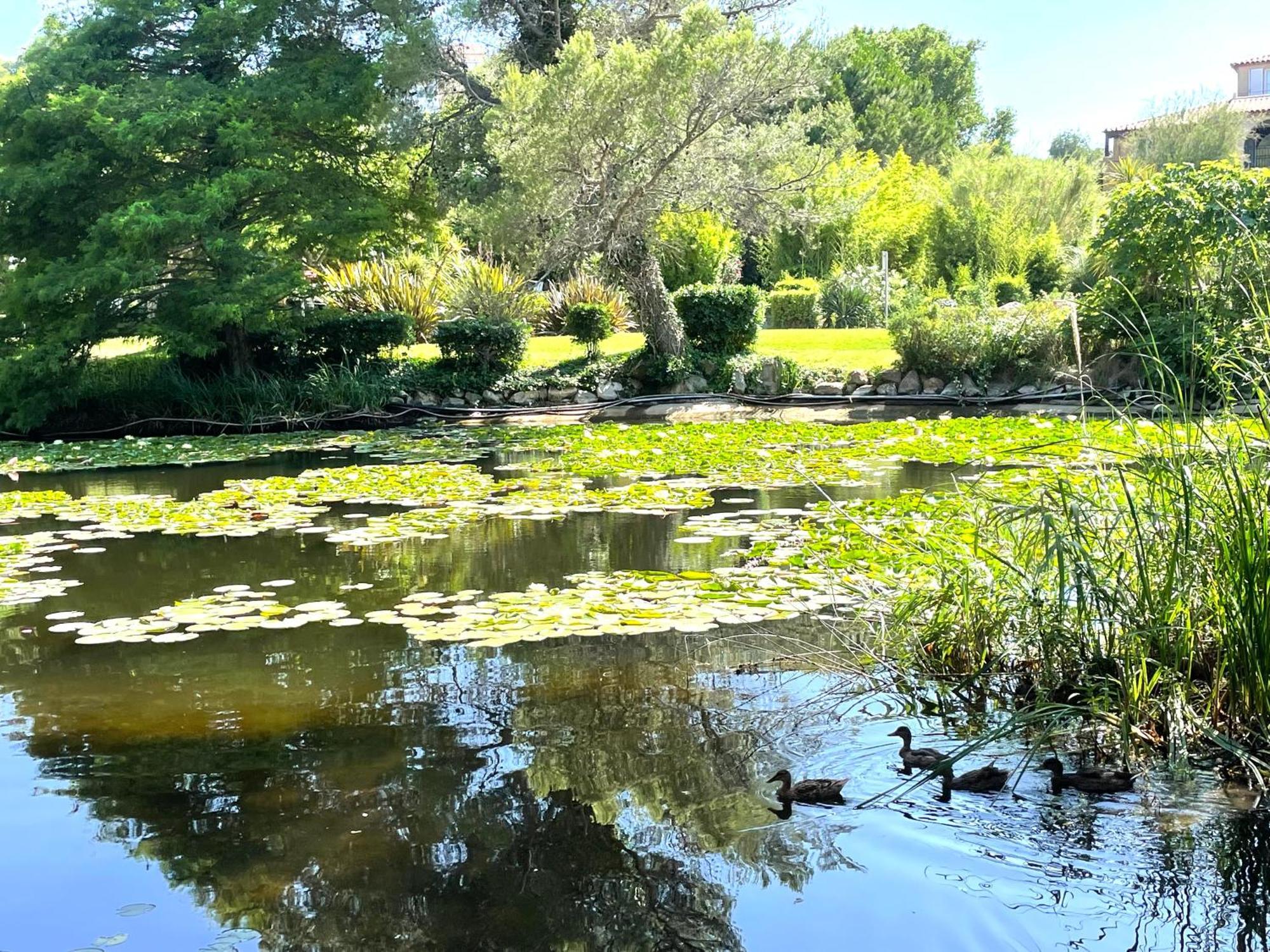 Le Rayon Vert Six-Fours-les-Plages Dış mekan fotoğraf